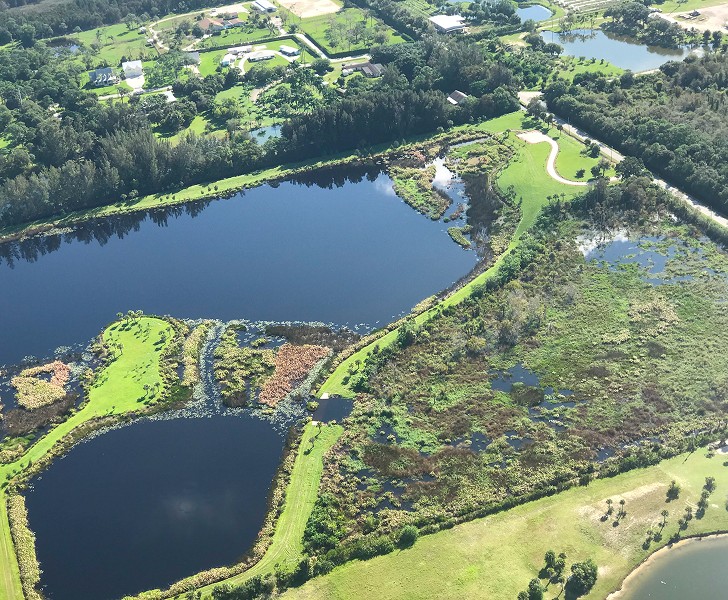 Martin County Forest